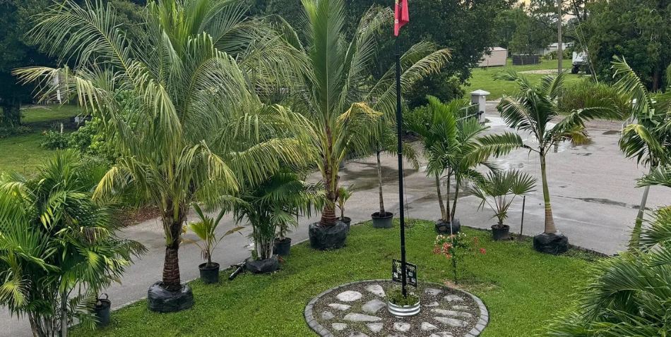 lcg palm trimming sp